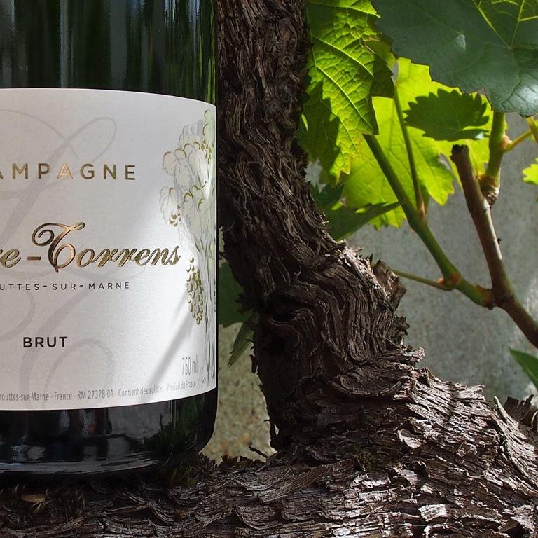 Champagne Leclere Torrens - Crouttes sur Marne