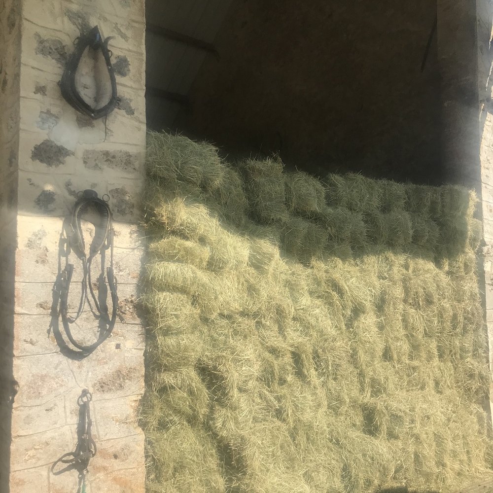 Domaine des Roches - vente de foin en petits ballots