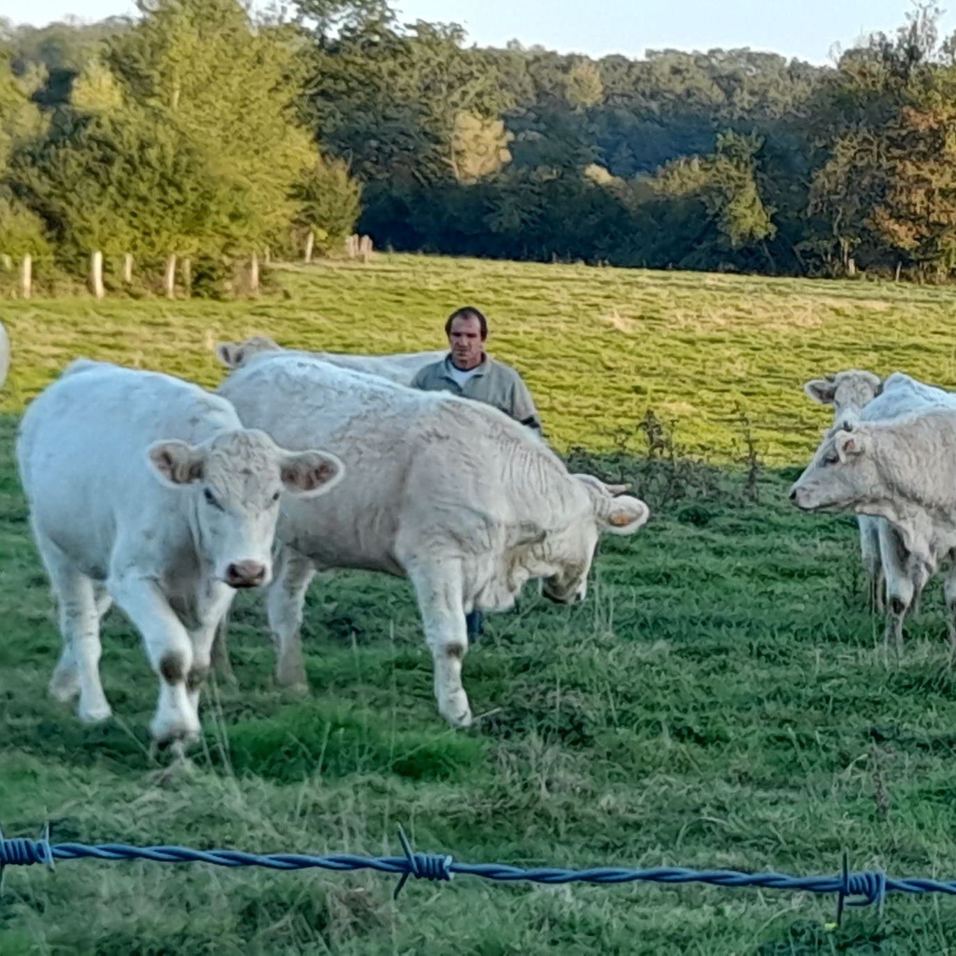 EARL CHOPIN STEPHANE - Elevage Bio - COUPRU